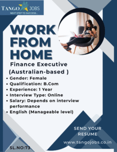 Work From Home Finance Executive Female Experienced Job Remote